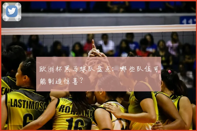 欧洲杯黑马球队盘点：哪些队伍可能制造惊喜？