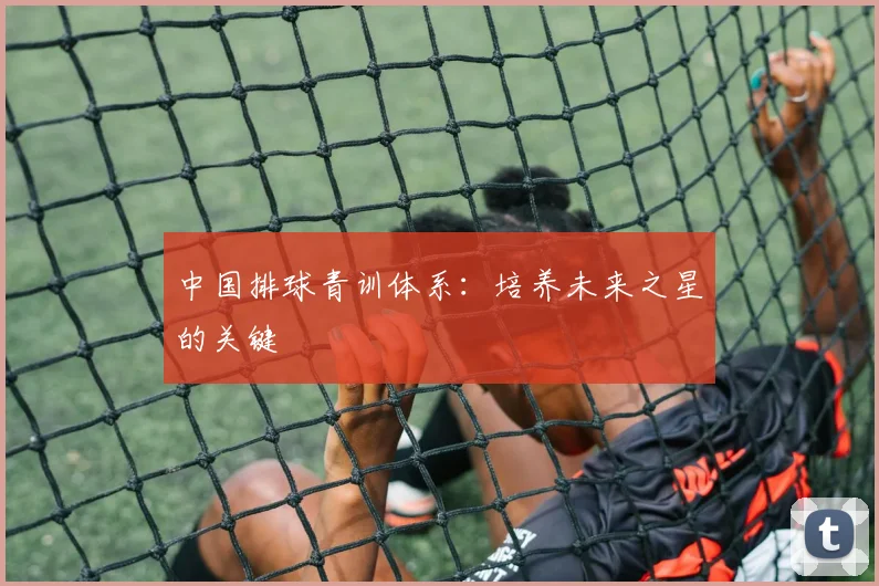 中国排球青训体系:培养未来之星的关键